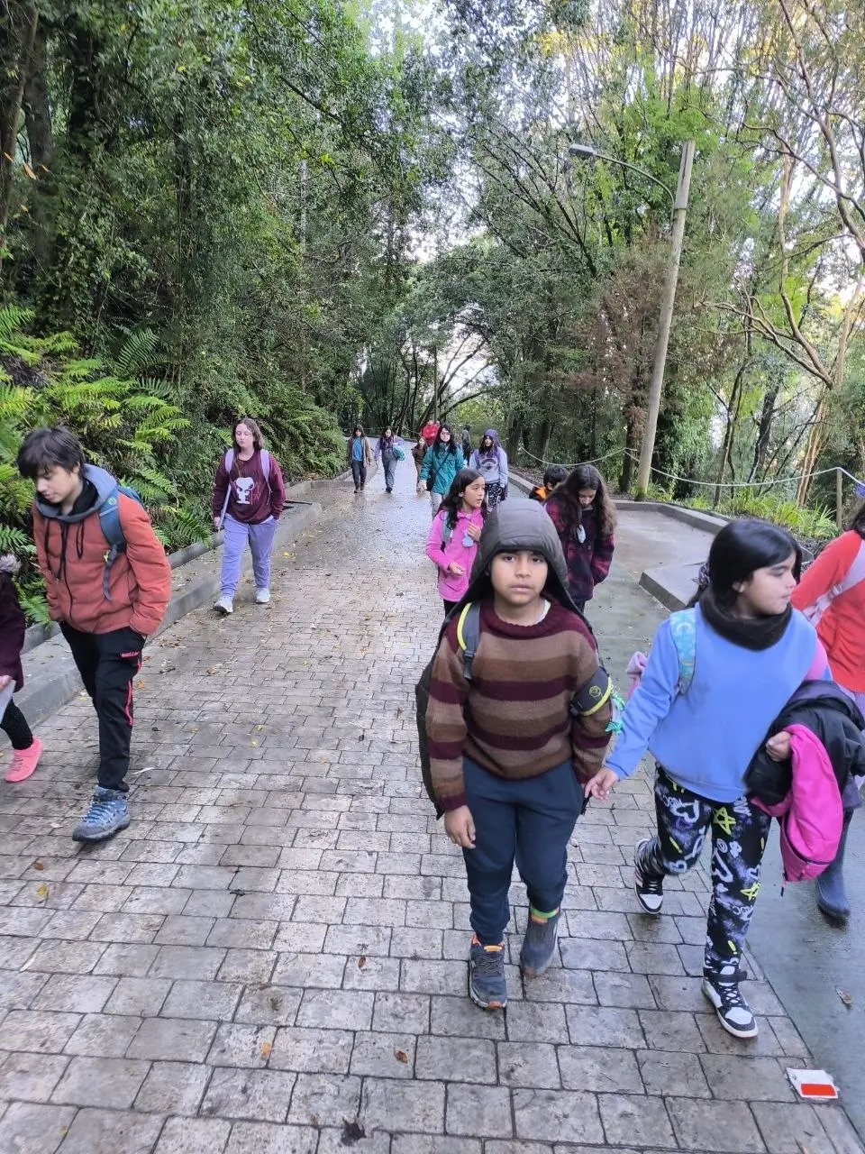 Exploración en la naturaleza